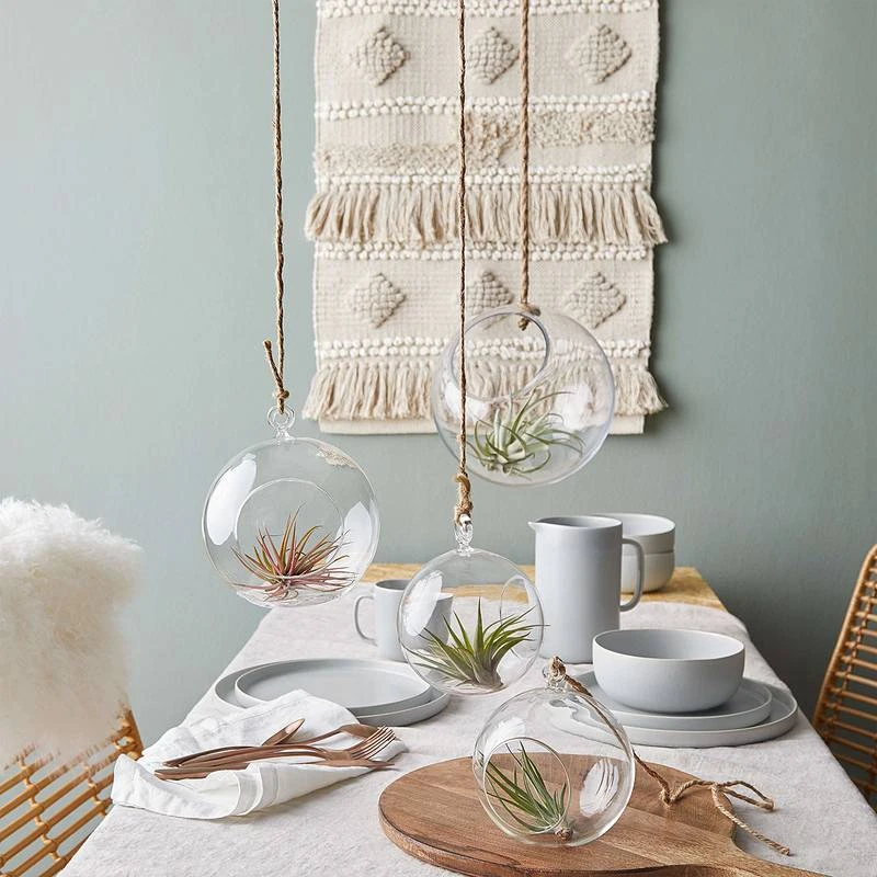 Bol CASA NOVA – Image 4